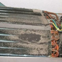 image-1-2